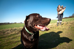 Bella and Lulu! portfolio